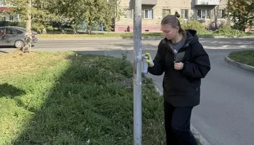 Более 100 листовок с рекламой наркотиков удалили в Октябрьском районе Барнаула