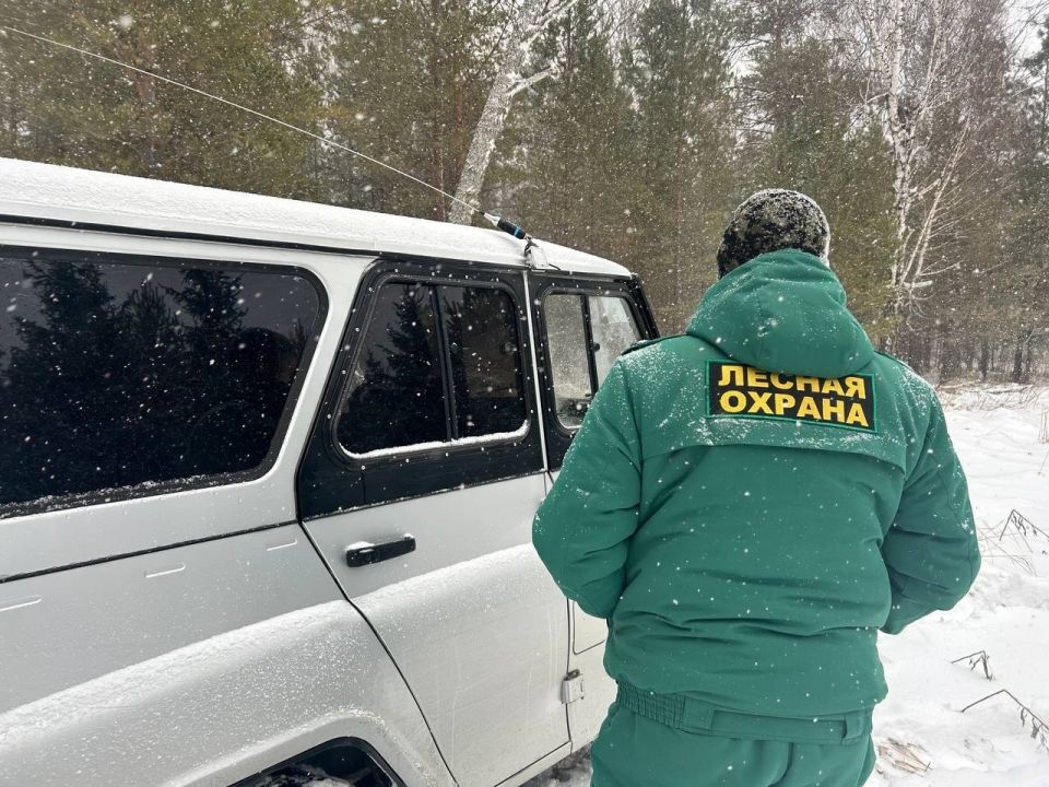 Обход лесной охраны 
