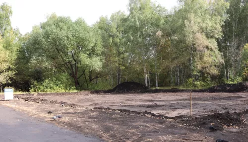 В парке Целинников Барнаула возводят спортивную площадку на 600 квадратов