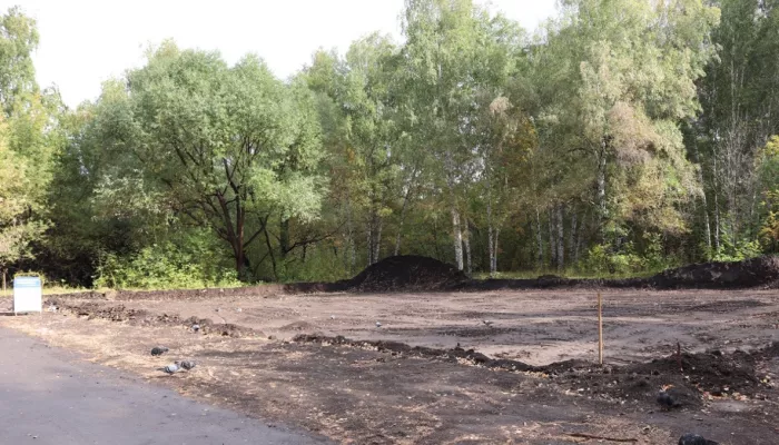 В парке Целинников Барнаула возводят спортивную площадку на 600 квадратов