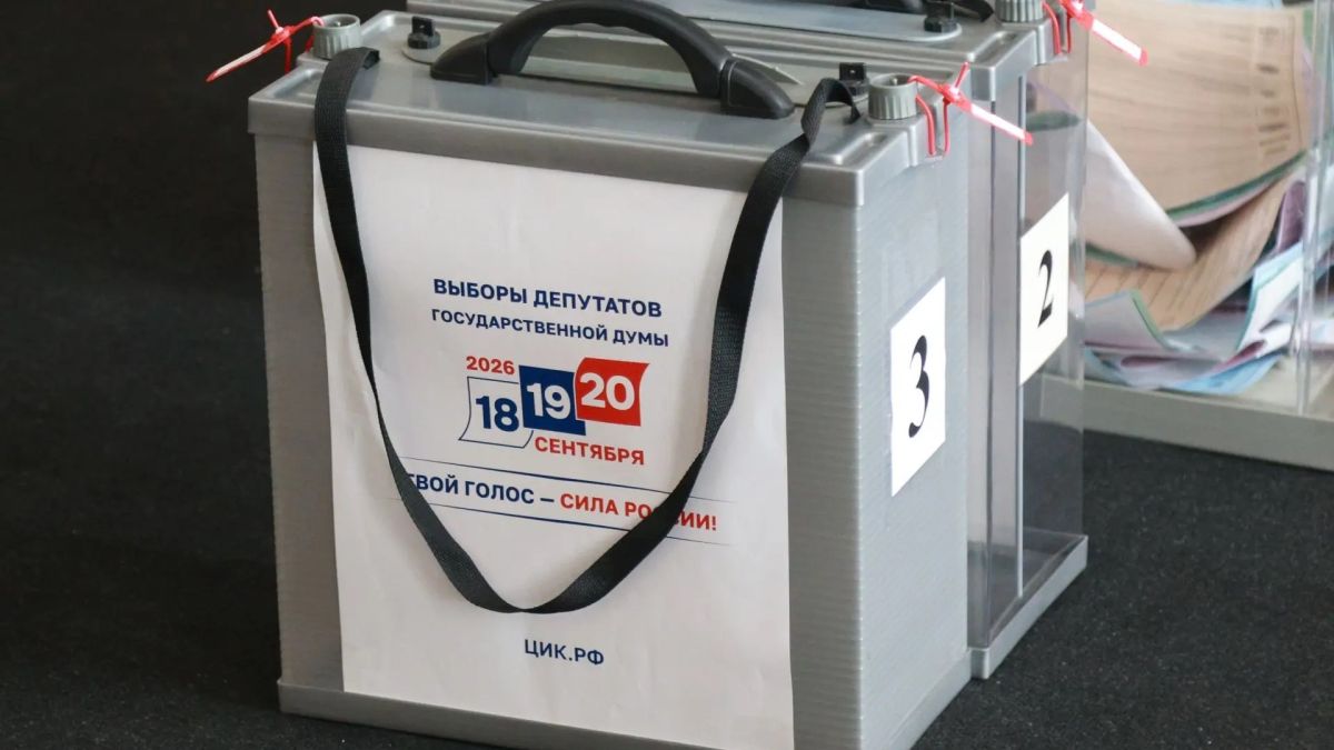 Выборы. Голосование. 