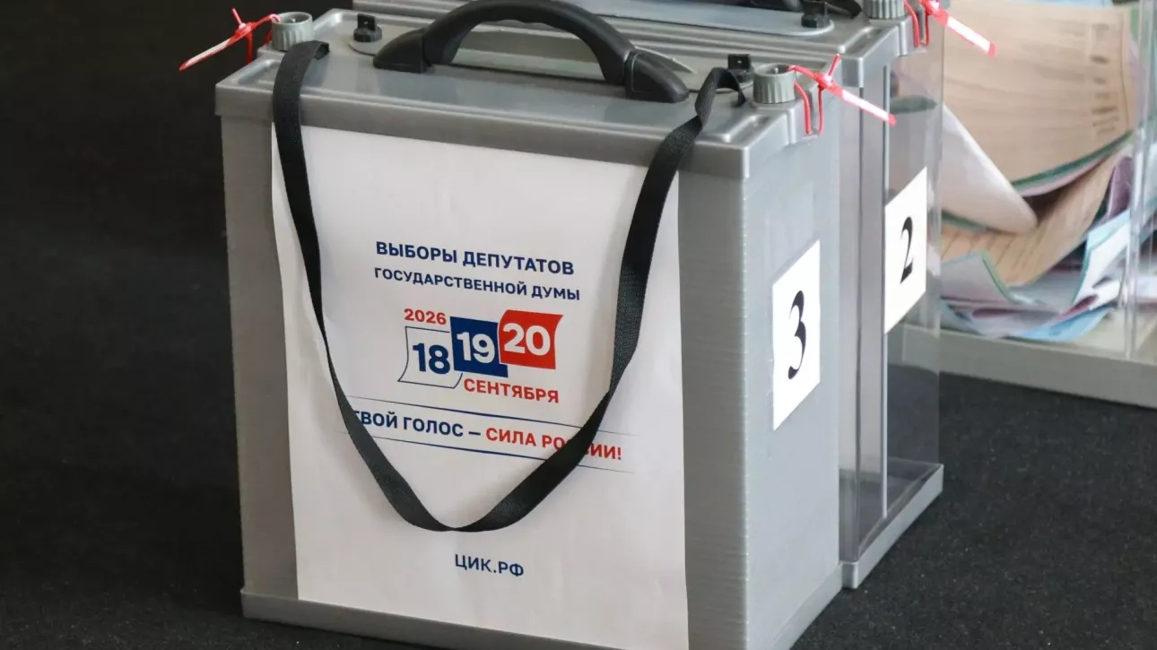 74% жителей Алтайского края, подавших заявление на ДЭГ, проголосовали