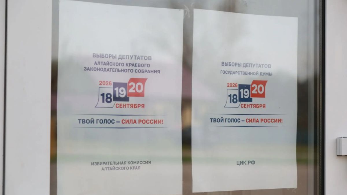 Выборы. Голосование. 