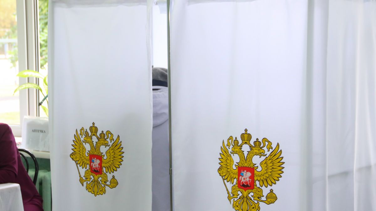 Выборы. Голосование. 