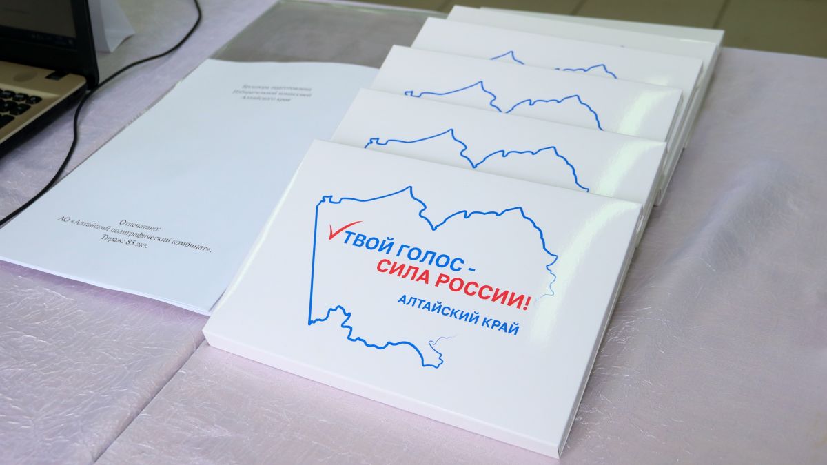 Выборы. Голосование. 