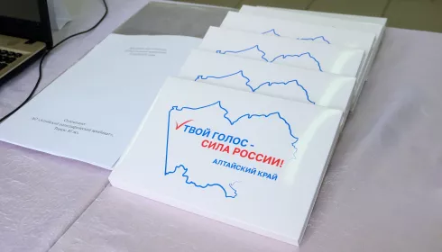Бои местного значения: как выборы изменили корпусы депутатов в Белокурихе и Алейске