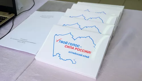 Явка на выборы депутатов Госдумы в Алтайском крае достигла 30% по итогам двух дней