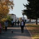 Краски осени: фотопрогулка по барнаульскому парку Изумрудный