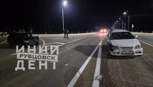 Пожилая женщина и семилетний ребенок пострадали в жесткой аварии под Рубцовском. Фото