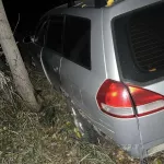 Мужчина погиб при столкновении авто с гужевой повозкой в Рубцовском районе