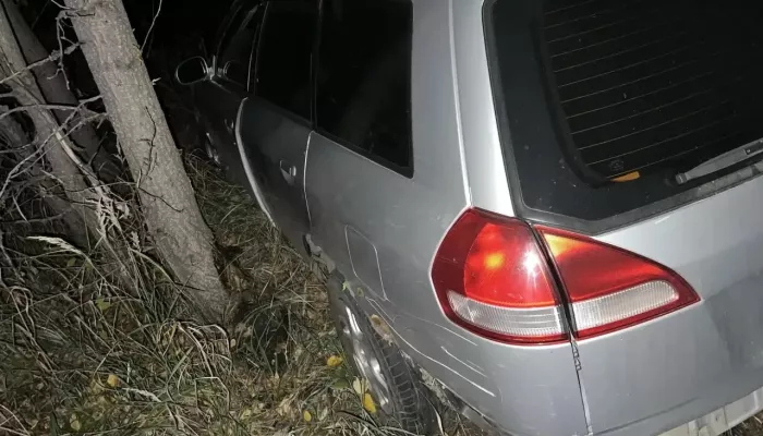 Мужчина погиб при столкновении авто с гужевой повозкой в Рубцовском районе
