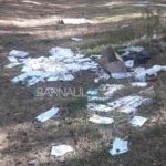 Свалку медицинских отходов нашли в ленточном бору Барнаула
