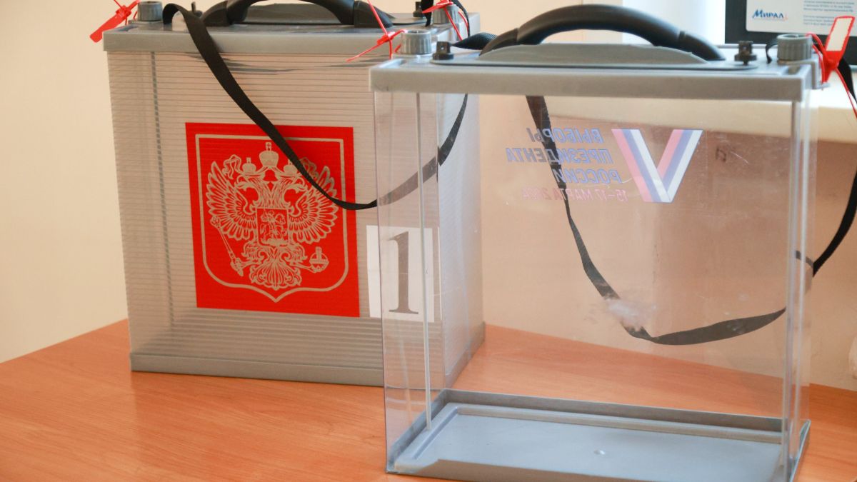 Выборы. Голосование
