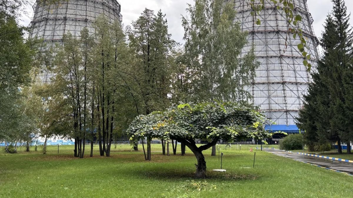 Старт отопительного сезона