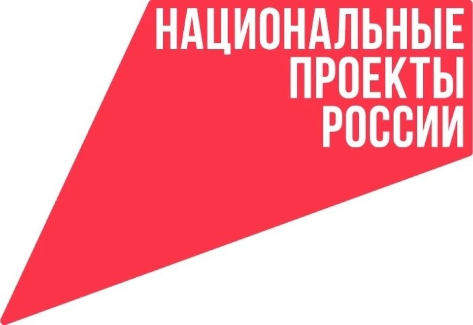 Национальные проекты России
