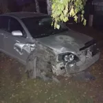 Автомобилист снес опору ЛЭП и чуть не сжег дом в Камне-на-Оби