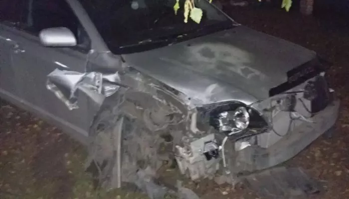 Автомобилист снес опору ЛЭП и чуть не сжег дом в Камне-на-Оби