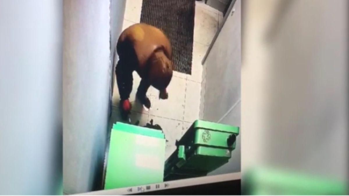 Гибель грабителя при попытке подрыва банкомата в Череповце попала на видео