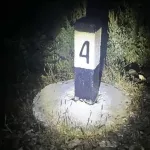 43-летний мужчина погиб под колесами поезда в Алтайском крае