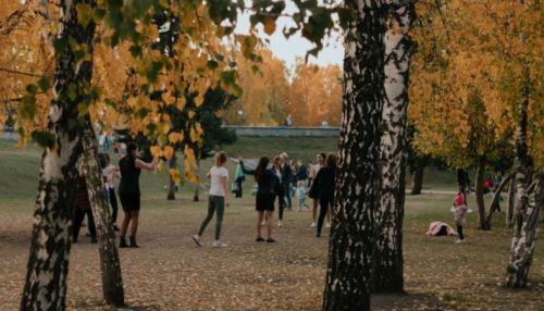 Золотая барнаульская осень в объективе ТОЛКа