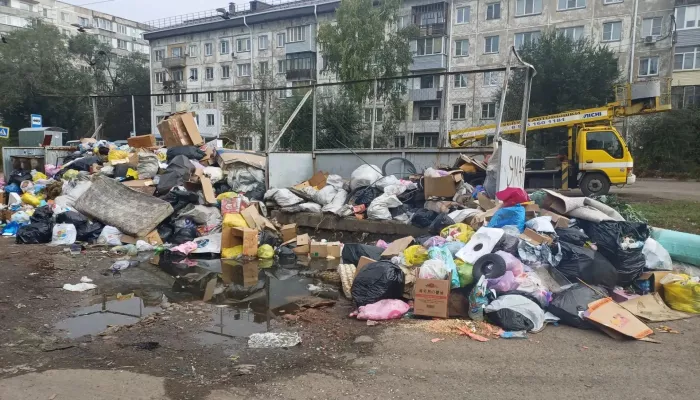 Бийчане пожаловались на контейнерную площадку, ставшую общегородским полигоном