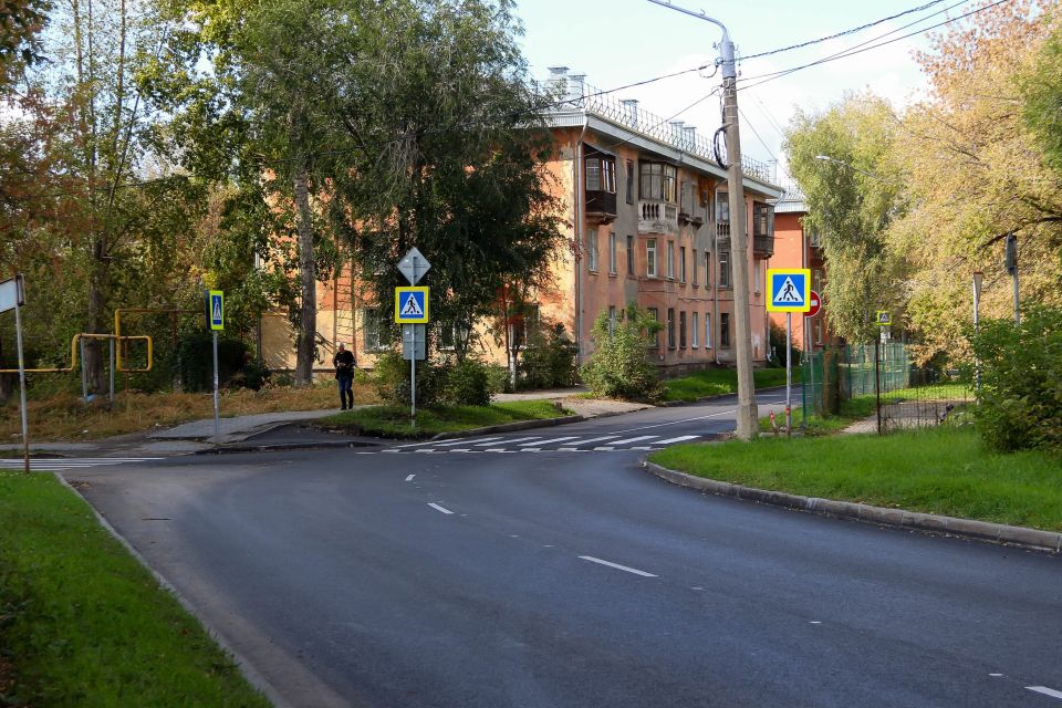 Улица Эмилии Алексеевой и ее окружение