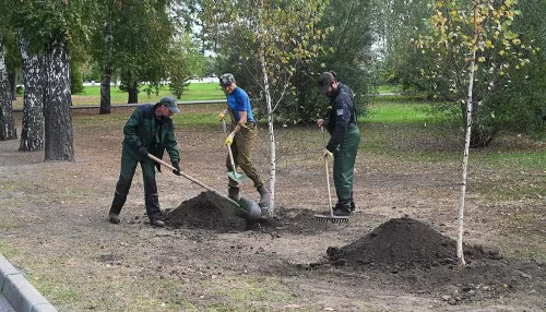 В Нагорном парке Барнаула высадили новые деревья. Фото