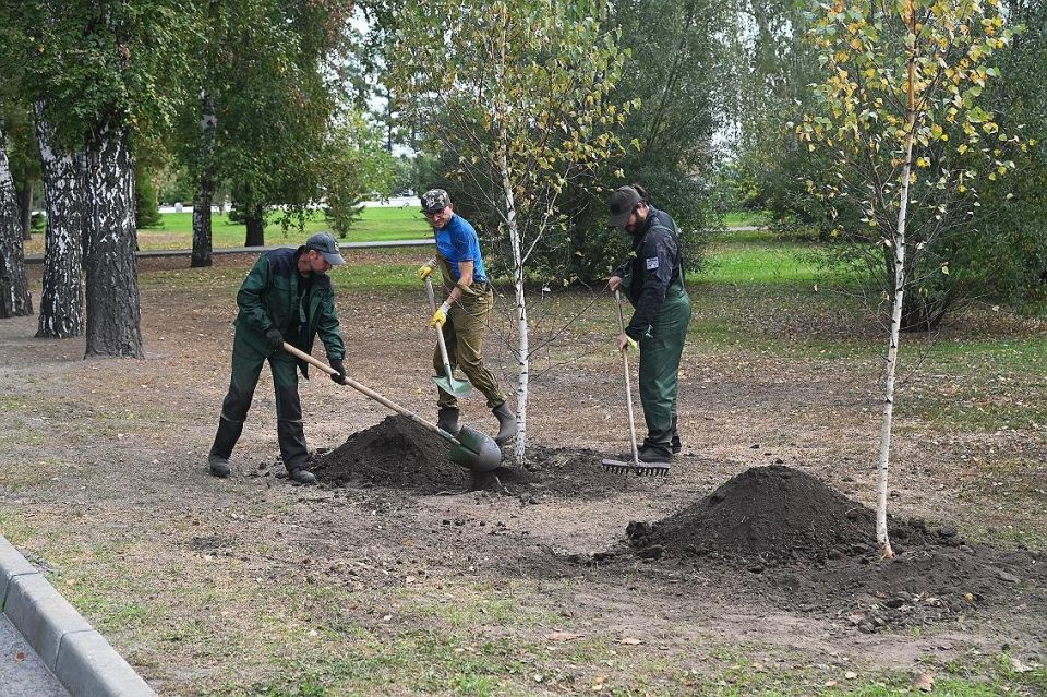 В Нагорном парке высадили новые деревья