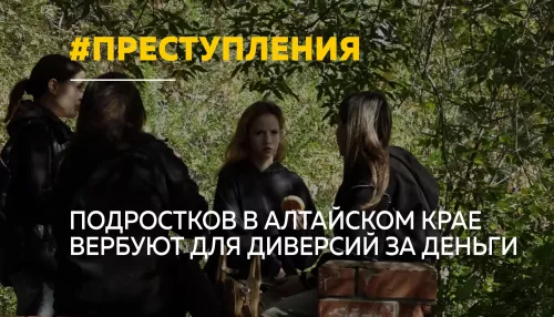 В Алтайском крае подростков все чаще вовлекают в диверсии через интернет