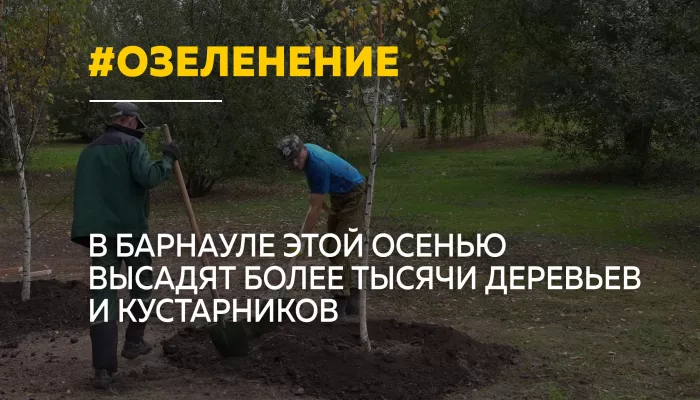В Барнауле стартовала осенняя кампания по озеленению