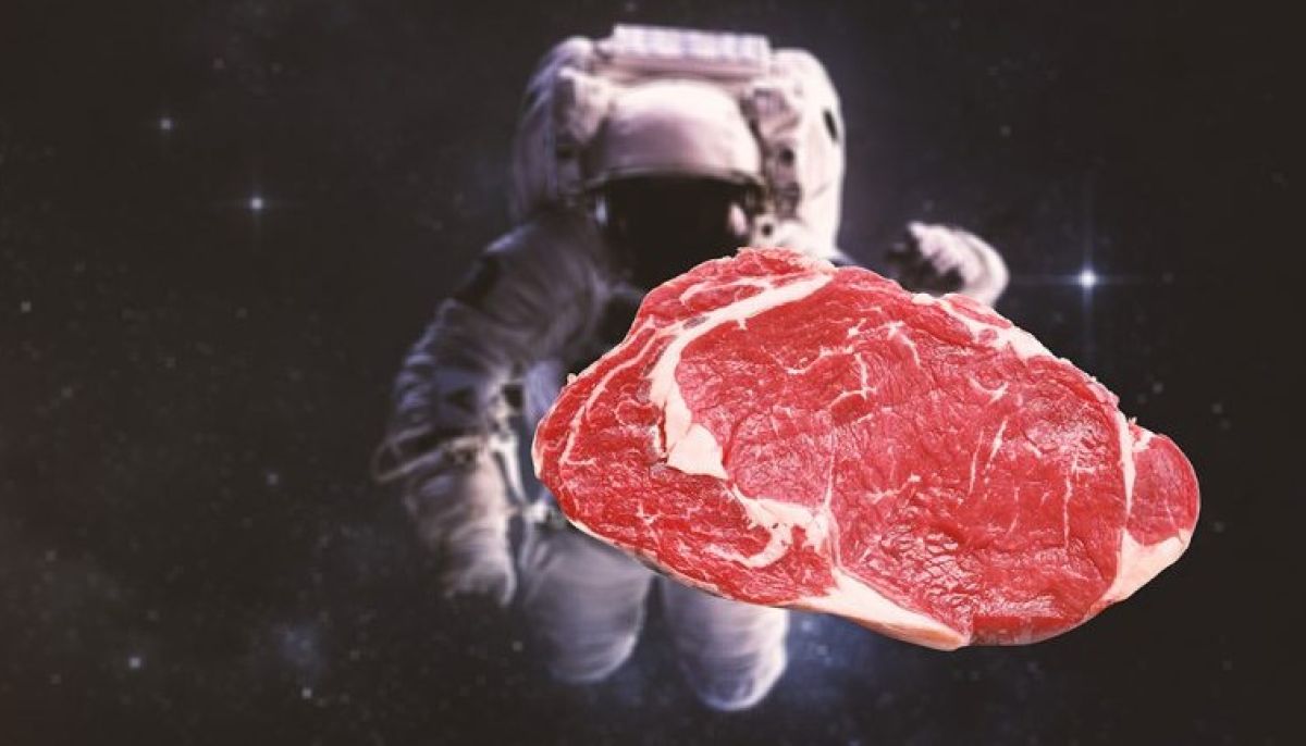 Первый овощ выращенный в космосе. Мясо в космосе. Стейк в космосе. Выращенное в космосе мясо.