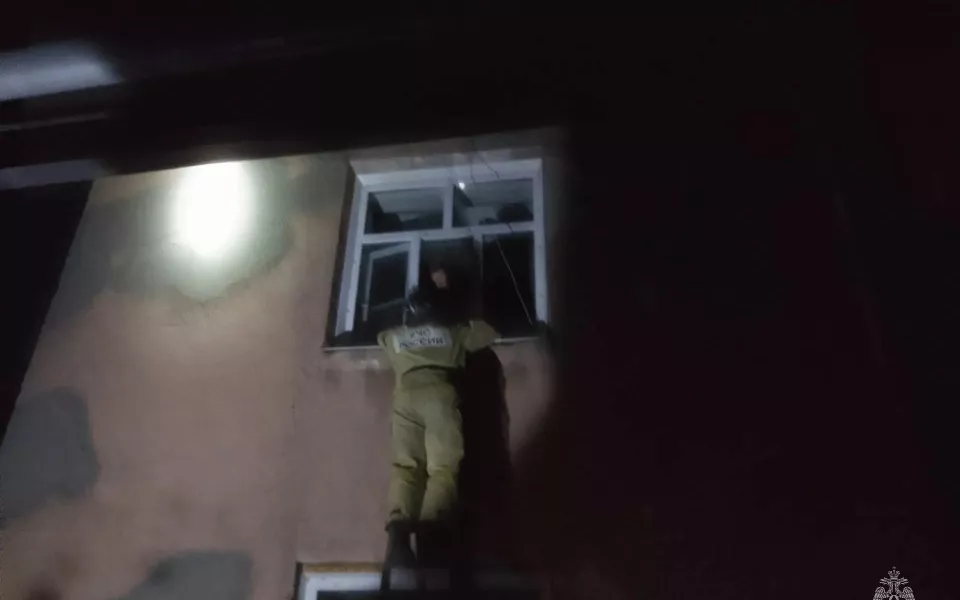 Пожарные спасли жильцов из задымленного многоквартирного дома в алтайском селе