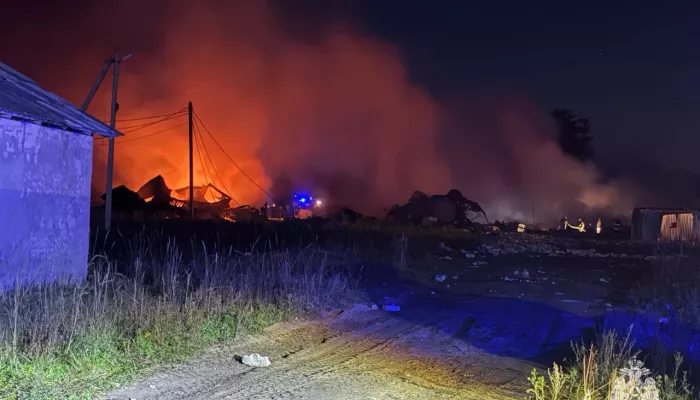 Пожар на заводе пиротехники в Ярославской области унес жизни 14 человек