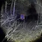 Водитель грузовика умер за рулем и улетел в кювет на новосибирской трассе. Фото
