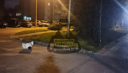 Ломали фонари и перевернули лавочки: хулиганы устроили погром на аллее в Барнауле