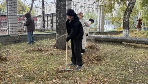 Город готовят к зиме: в Барнауле начался месячник санитарной очистки