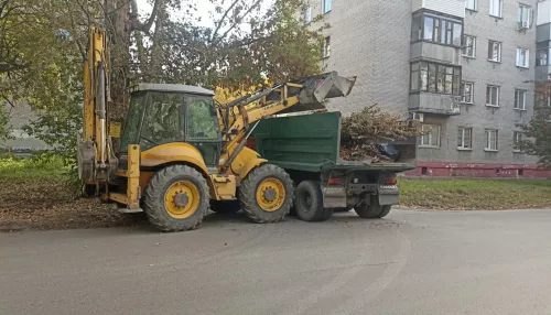 В Барнауле прошел первый чистый четверг месячника осенней очистки
