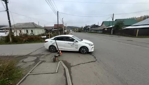 Подросток на электросамокате столкнулся с Kia Rio и попал в больницу в Горно-Алтайске