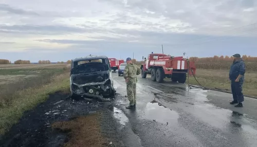 Молоковоз на газе загорелся на трассе Павловск — Колыванское в Алтайском крае. Фото