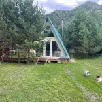 Треугольный дом-шалаш с камином и мезонином продают в Горном Алтае. Фото