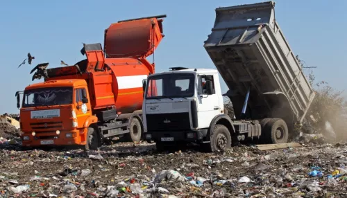 Зарастаем мусором: на Алтае придется закрыть более тысячи свалок до конца года