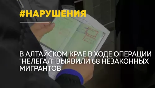 Почти 400 нарушений миграционного законодательства выявили в Алтайском крае