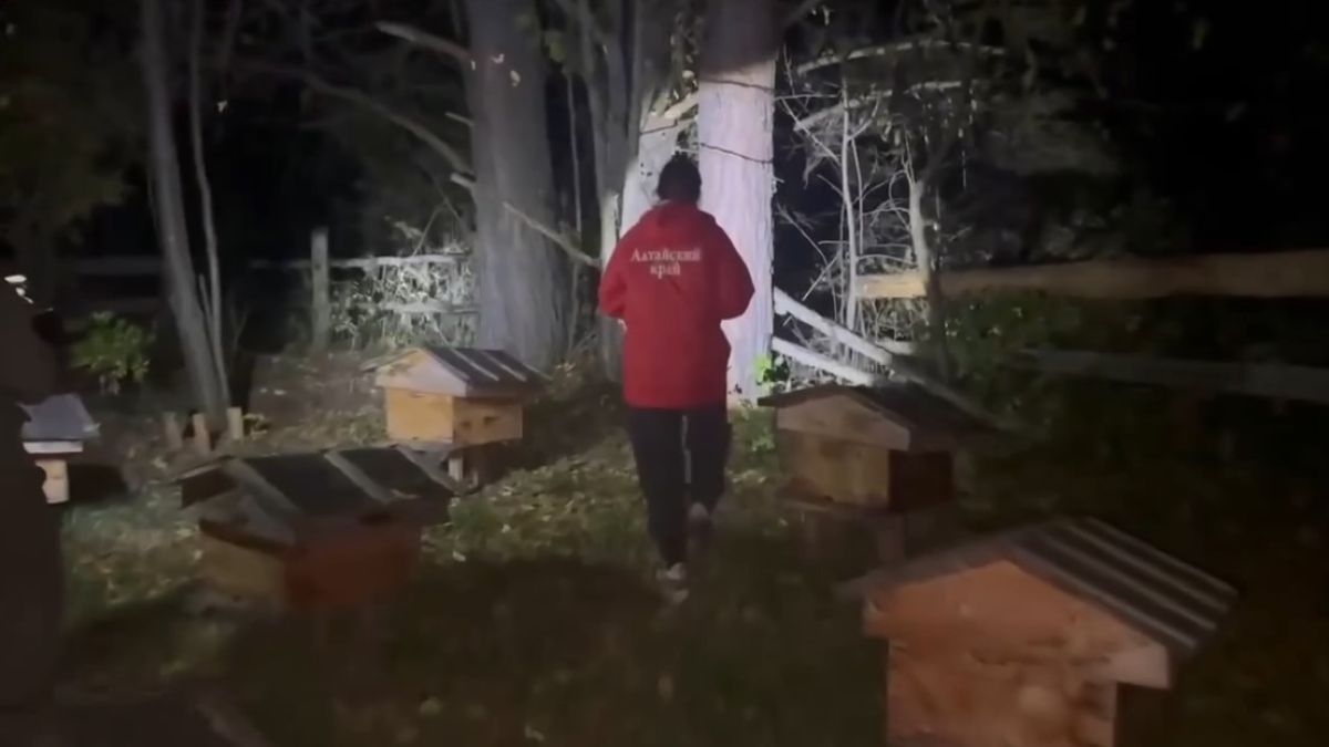 Место происшествия