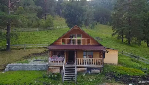 Дом из кедра посреди гор и альпийских лугов продают в Горном Алтае. Фото