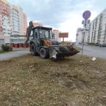 В Барнауле продолжается осенняя уборка территорий города. Фото