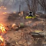 Несколько дачных домов сгорели в пригороде Барнаула