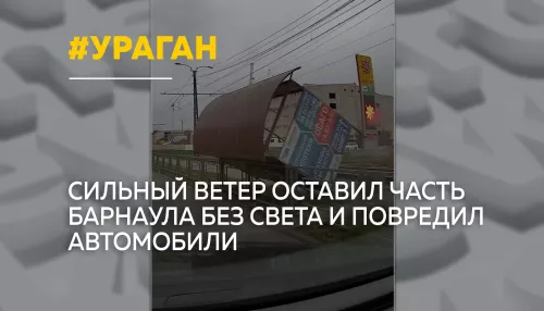 Ураган в Барнауле повалил деревья и оставил часть города без электричества