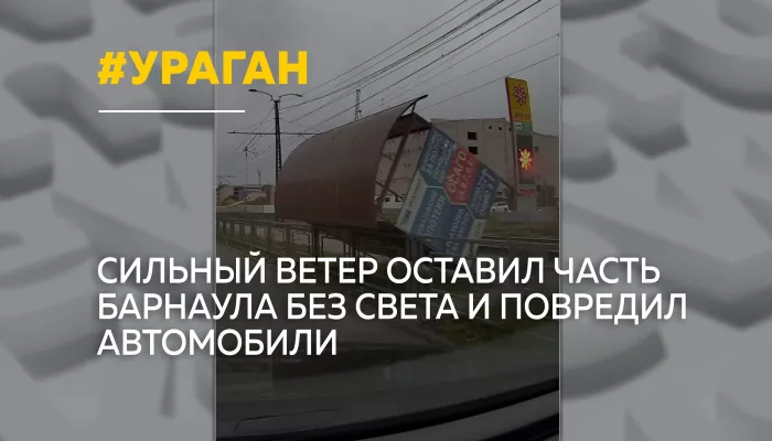 Ураган в Барнауле повалил деревья и оставил часть города без электричества