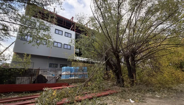 В Барнауле появится новая зеленая зона на улице Малахова