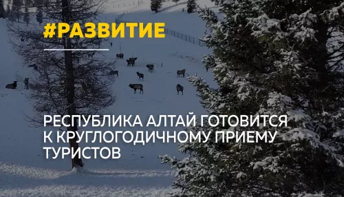 Республика Алтай переходит на круглогодичный туризм: бизнес готовится к зиме